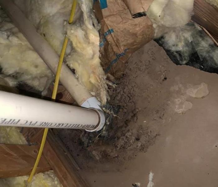 a picture of mold in insulation in a home